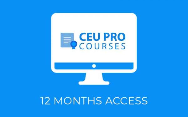 12 months all course access